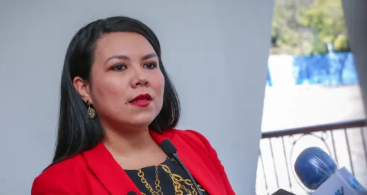 Anabel Belloso admite que mintió en acusación contra magnate mexicano con tal de atacar al Gobierno anabel-belloso-admite-que-mintio-en-acusacion-contra-magnate-mexicano-con-tal-de-atacar-al-gobierno
